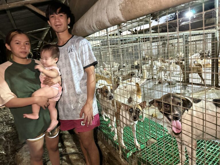 dzieciaki-i-schron-z-filipin