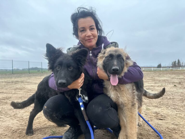 Na zdjęciu widać kobietę kucającą na otwartym terenie, prawdopodobnie na wybiegu lub polu. Trzyma po obu stronach dwa młode psy na smyczach – jeden jest czarny, a drugi jasnobrązowy z ciemniejszym pyskiem. Kobieta ma na sobie fioletową kurtkę, a w tle widać ogrodzenie i pochmurne niebo. Psy stoją blisko niej; jeden patrzy w stronę aparatu, a drugi ma wysunięty język.