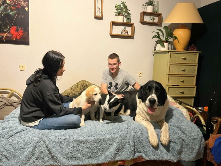 Na zdjęciu widać kobietę i mężczyznę siedzących na łóżku w pokoju. Towarzyszą im trzy psy – dwa średniej wielkości stoją między nimi, a duży czarno-biały pies leży z przodu łóżka z wysuniętym językiem. W tle widać komodę, lampę, rośliny i półki na ścianie.