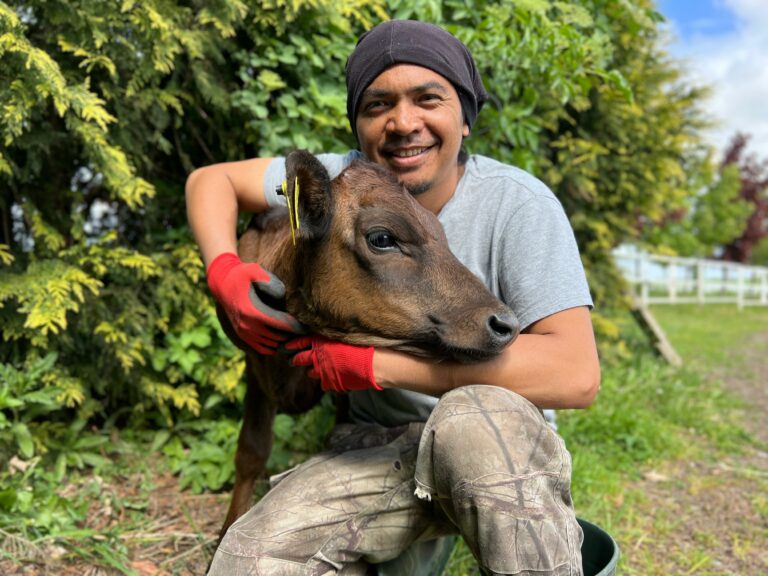 Na zdjęciu widać mężczyznę przytulającego małą cielę. Mężczyzna uśmiecha się, ma na głowie ciemną czapkę i ubrany jest w szarą koszulkę oraz spodnie w kamuflażu. Na rękach ma czerwone rękawice, a w tle widać zielone krzewy i drzewa oraz biały płot, co sugeruje, że znajduje się na farmie.