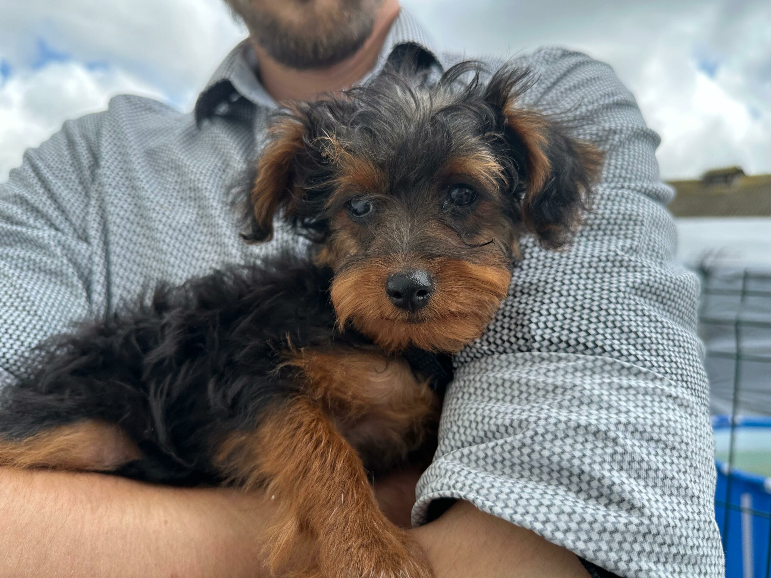 Na zdjęciu widać małego, czarno-brązowego psa trzymanego na rękach przez mężczyznę w koszuli. Pies patrzy w stronę aparatu, a w tle widoczne jest niebo i elementy otoczenia na zewnątrz.
