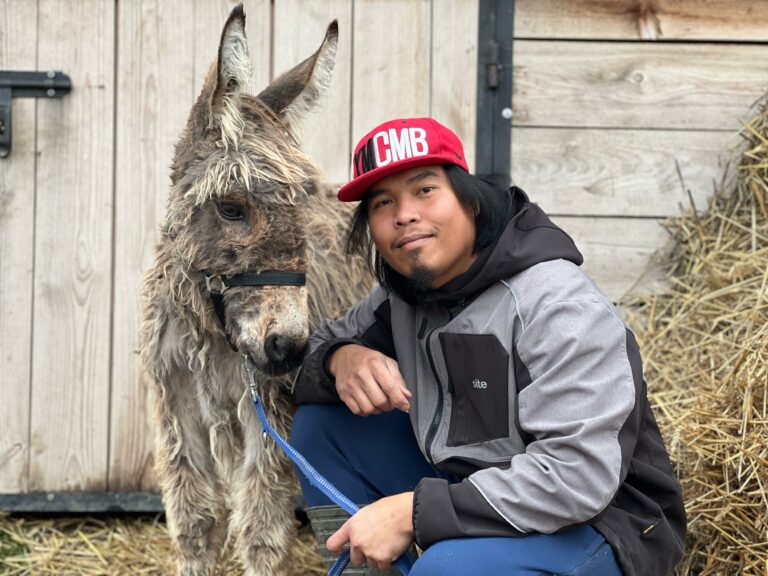 Na zdjęciu widzimy mężczyznę kucającego obok osła przed drewnianą ścianą stodoły. Mężczyzna ma na sobie czerwoną czapkę z białym napisem, czarno-szarą kurtkę oraz niebieskie spodnie. Osioł ma kudłatą, jasnobrązowo-białą sierść i założony czarny kantar z niebieską liną, którą trzyma mężczyzna. Na ziemi i przy ścianie leży słoma.