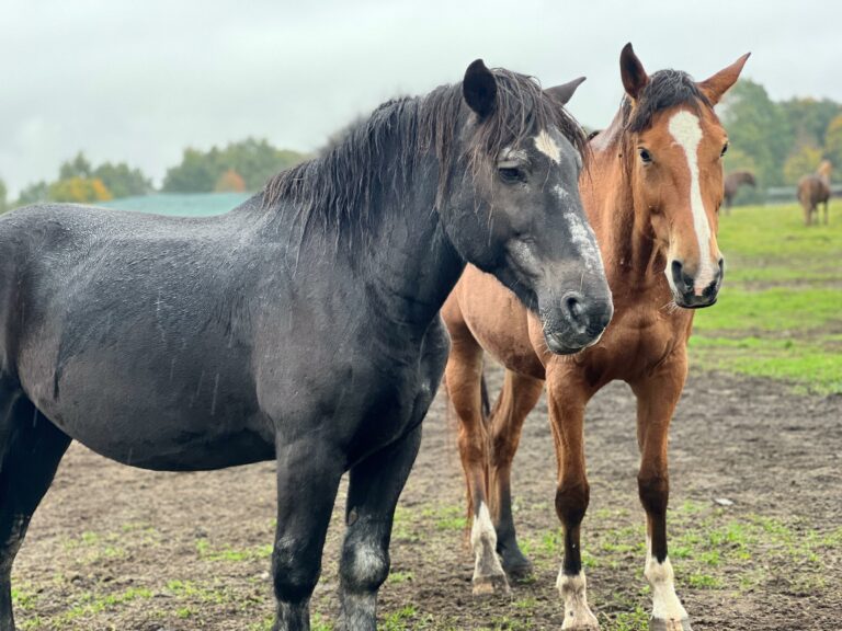 rezerwat_przemko_2025-16