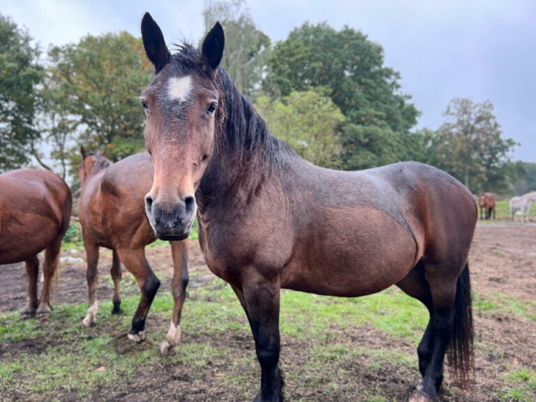 rezerwat_przemko_2025-17