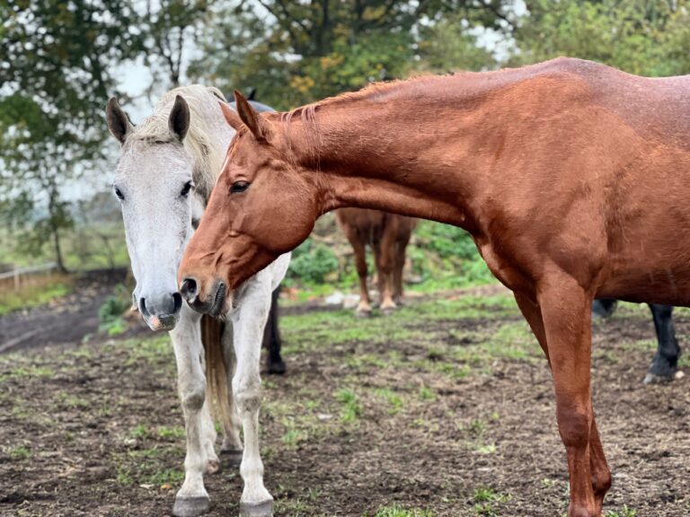 rezerwat_przemko_2025-18