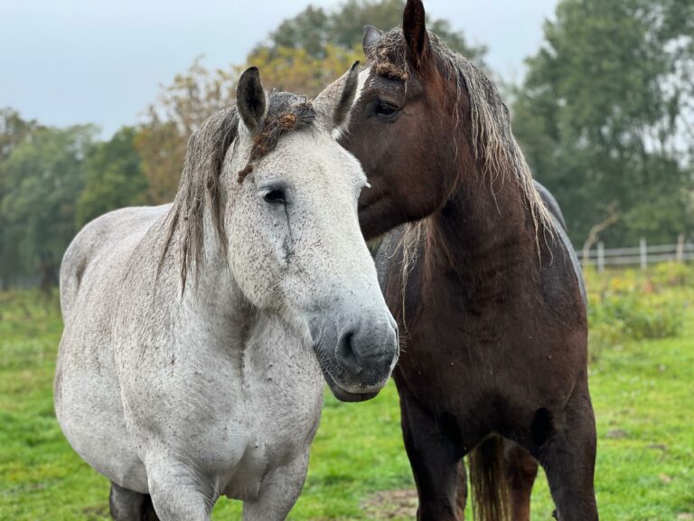 rezerwat_przemko_2025-2