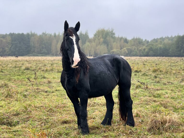 rezerwat_przemko_2025-24