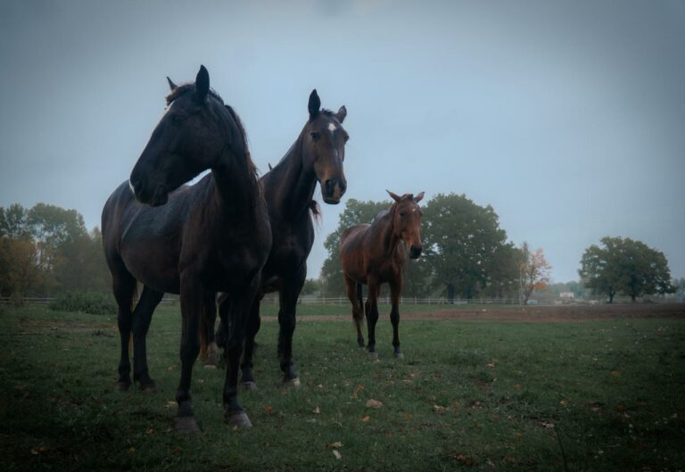 rezerwat_przemko_2025-28