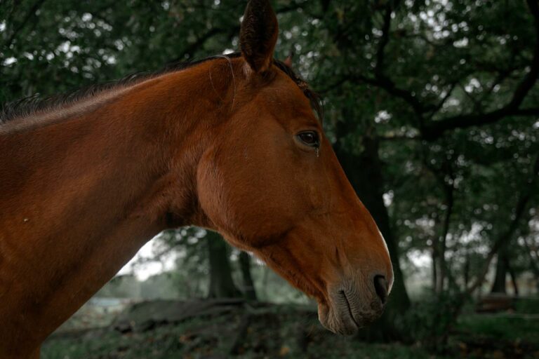 rezerwat_przemko_2025-33