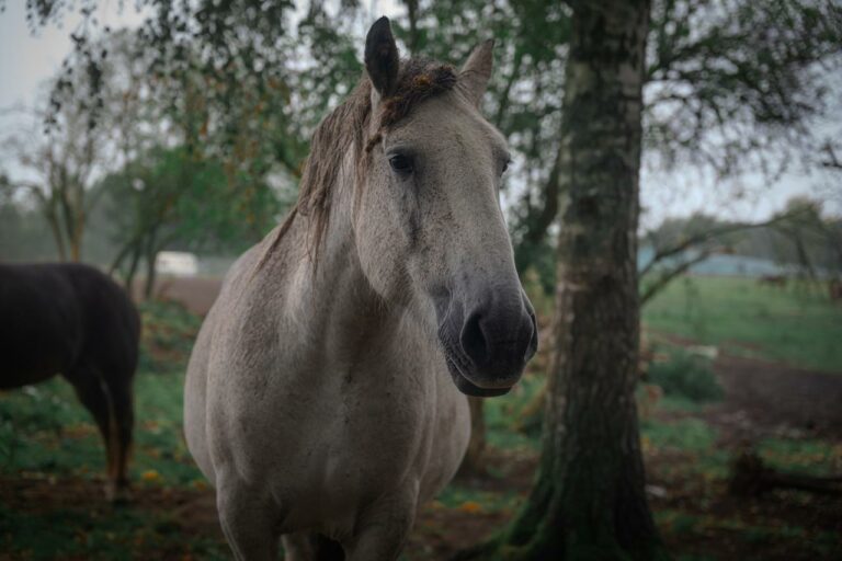 rezerwat_przemko_2025-34