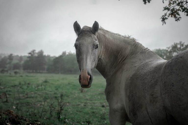 rezerwat_przemko_2025-36