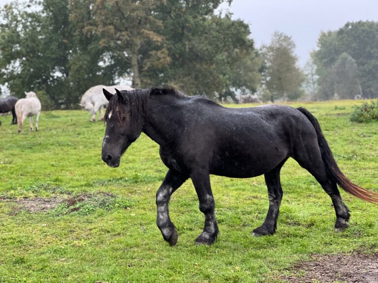 rezerwat_przemko_2025-4