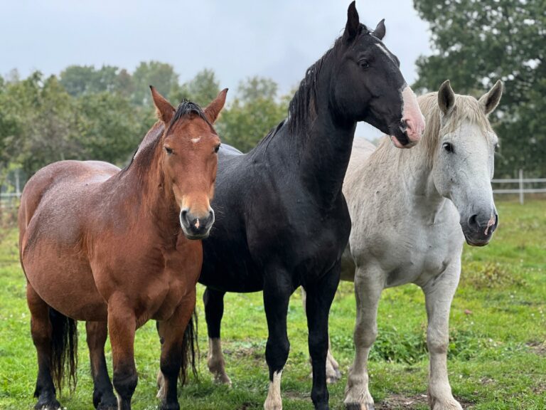 rezerwat_przemko_2025-6