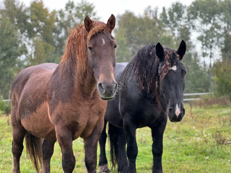 rezerwat_przemko_2025-7