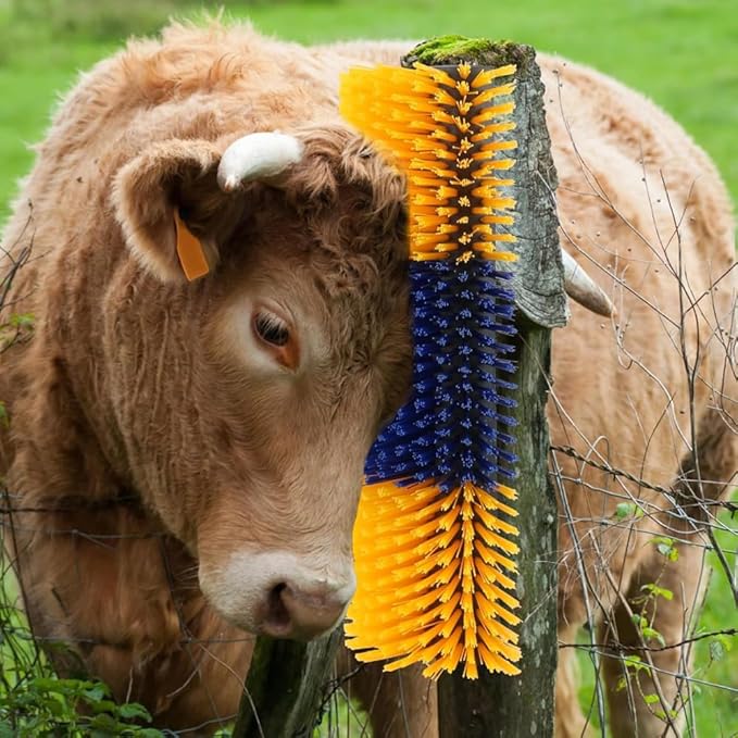 Na zdjęciu widzimy krowę ocierającą się głową o pionową szczotkę zamontowaną na drewnianym słupie. Szczotka ma naprzemienne niebieskie i żółte włosie, a jej konstrukcja umożliwia zwierzęciu samodzielne czyszczenie lub drapanie się. Tło stanowi zielona trawa i elementy gospodarstwa.