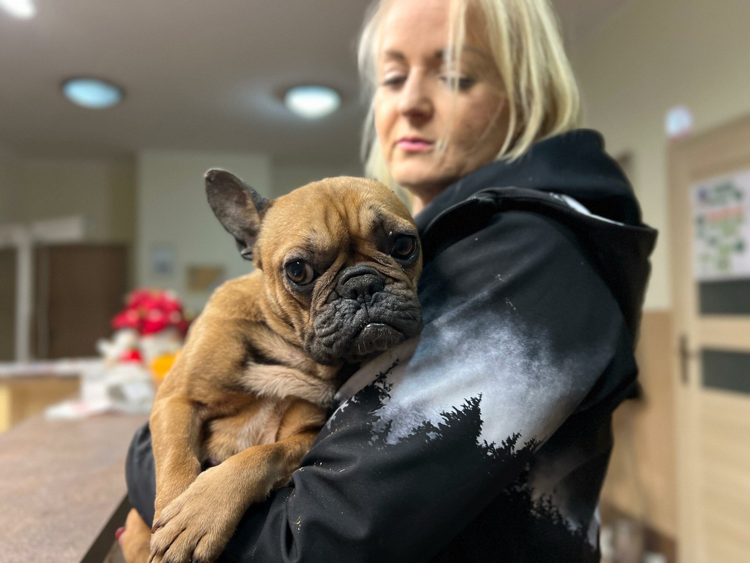 Na zdjęciu widzimy kobietę trzymającą brązowego buldoga francuskiego w ramionach. Pies ma pomarszczony pyszczek, jedno ucho sterczące, drugie opadnięte. Kobieta ubrana jest w czarną kurtkę z białym wzorem. W tle widać ladę, czerwone kwiaty i drzwi z tabliczką.